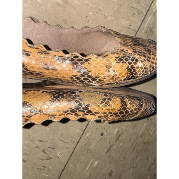 Chloe Lauren Ballet Flats Brown Snakeskin Scalloped Womens Shoe Size EU 37 US 7